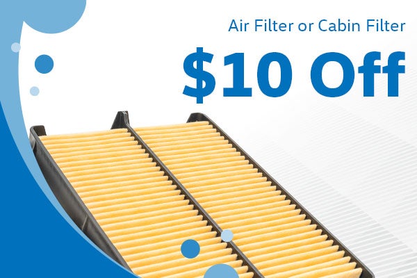 Air Filter or Cabin Filter